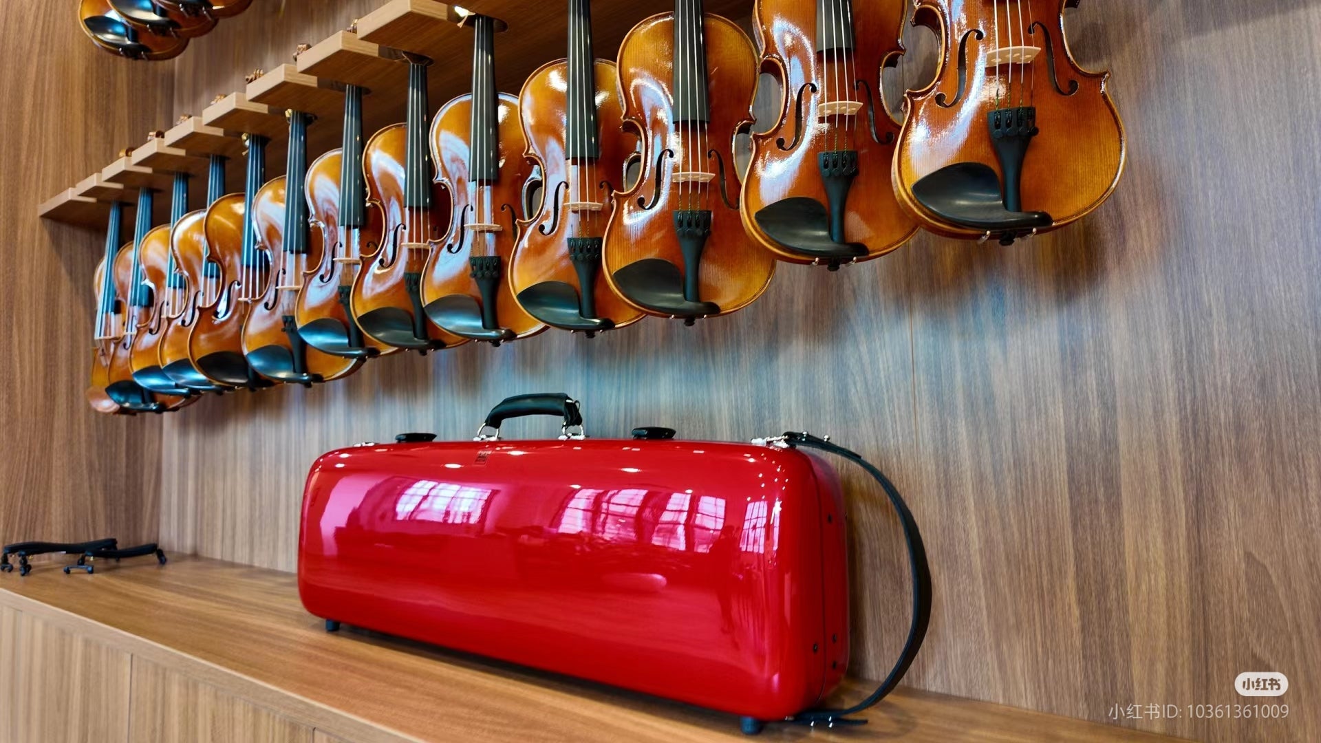 Violin Cases