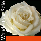 Pirastro Wondertone Solo Violin Strings - Symphonia Strings