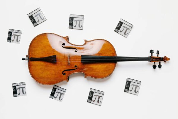 Peter Infeld Violoncello set, angle 3
