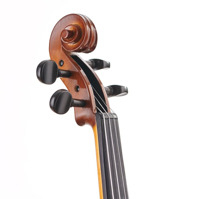 Stentor Student II Violin Outfit — Violin scroll and tuning pegs detail
