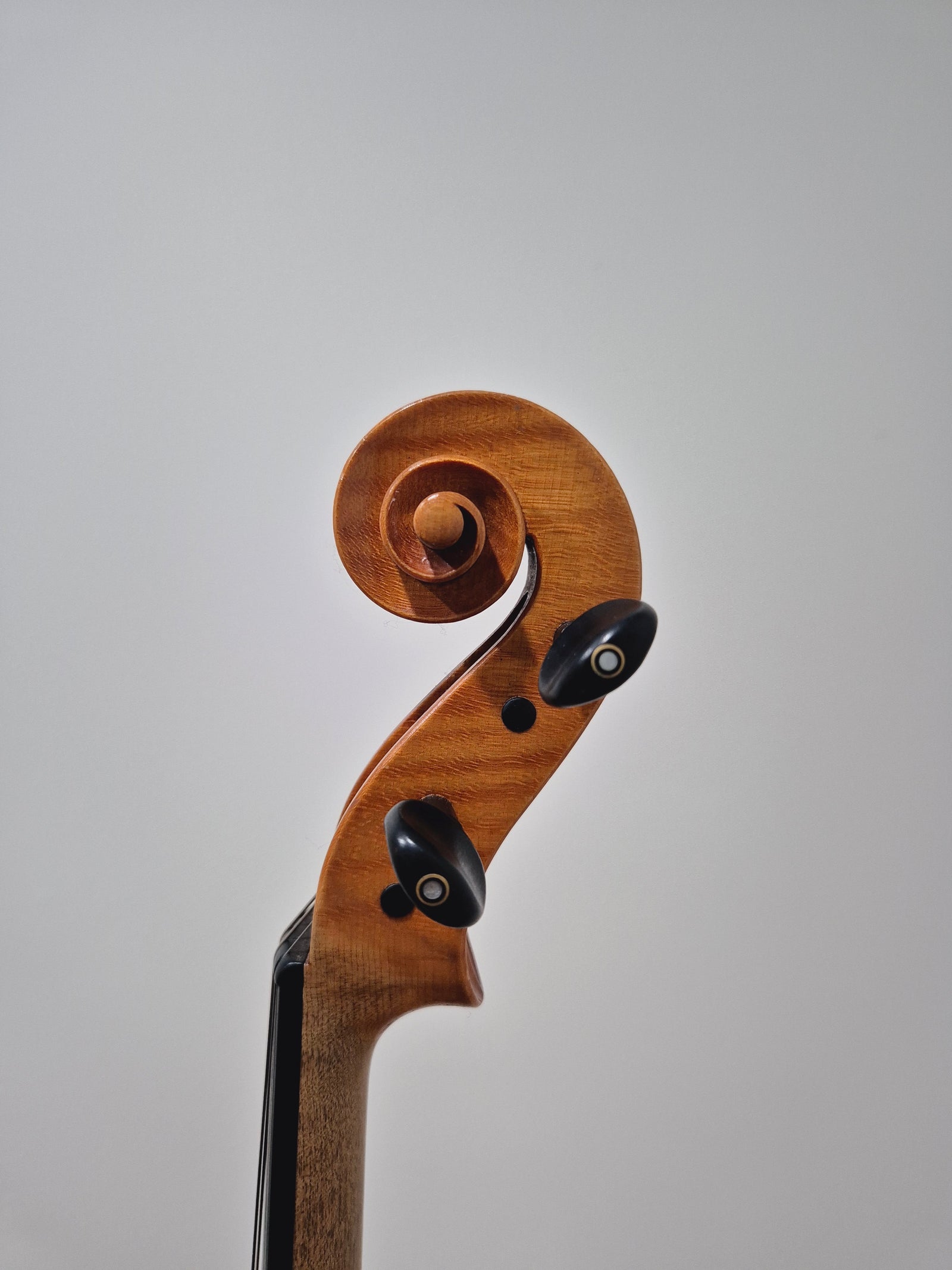Malcolm Collins Viola 16 Inch