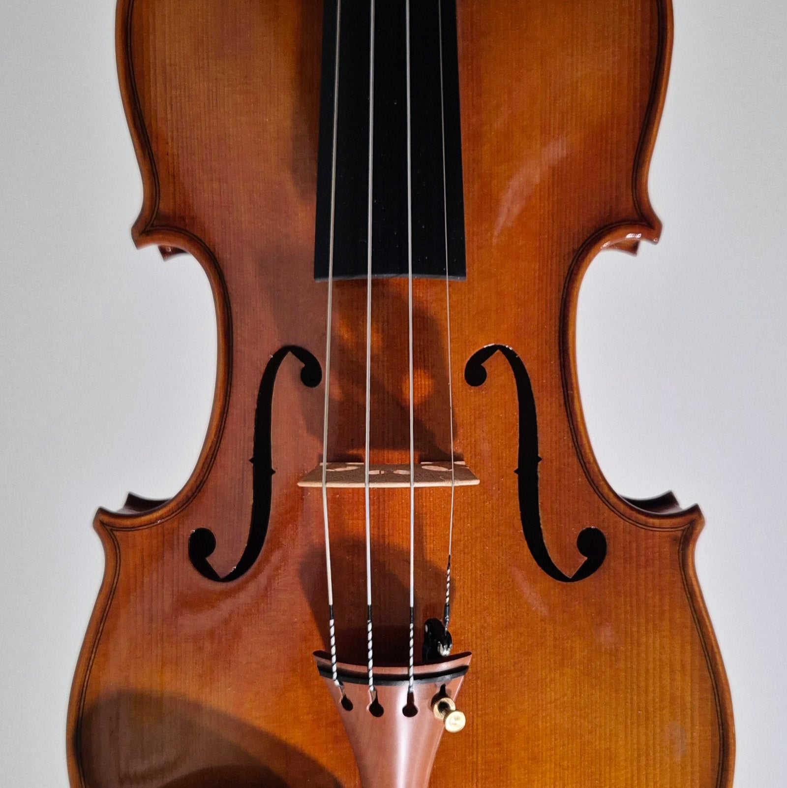 SS02 4/4 Violin