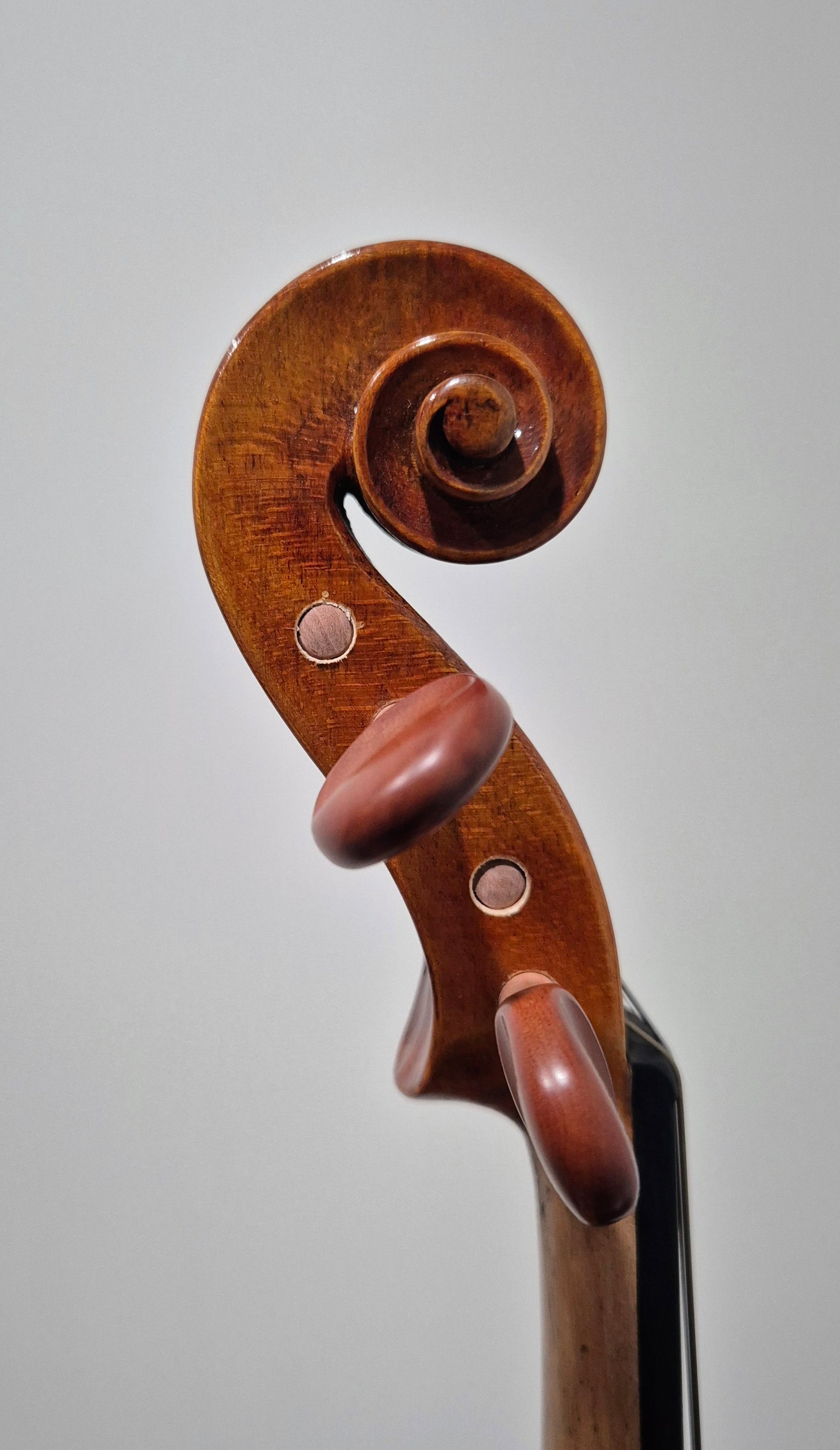 SS03 4/4 Violin