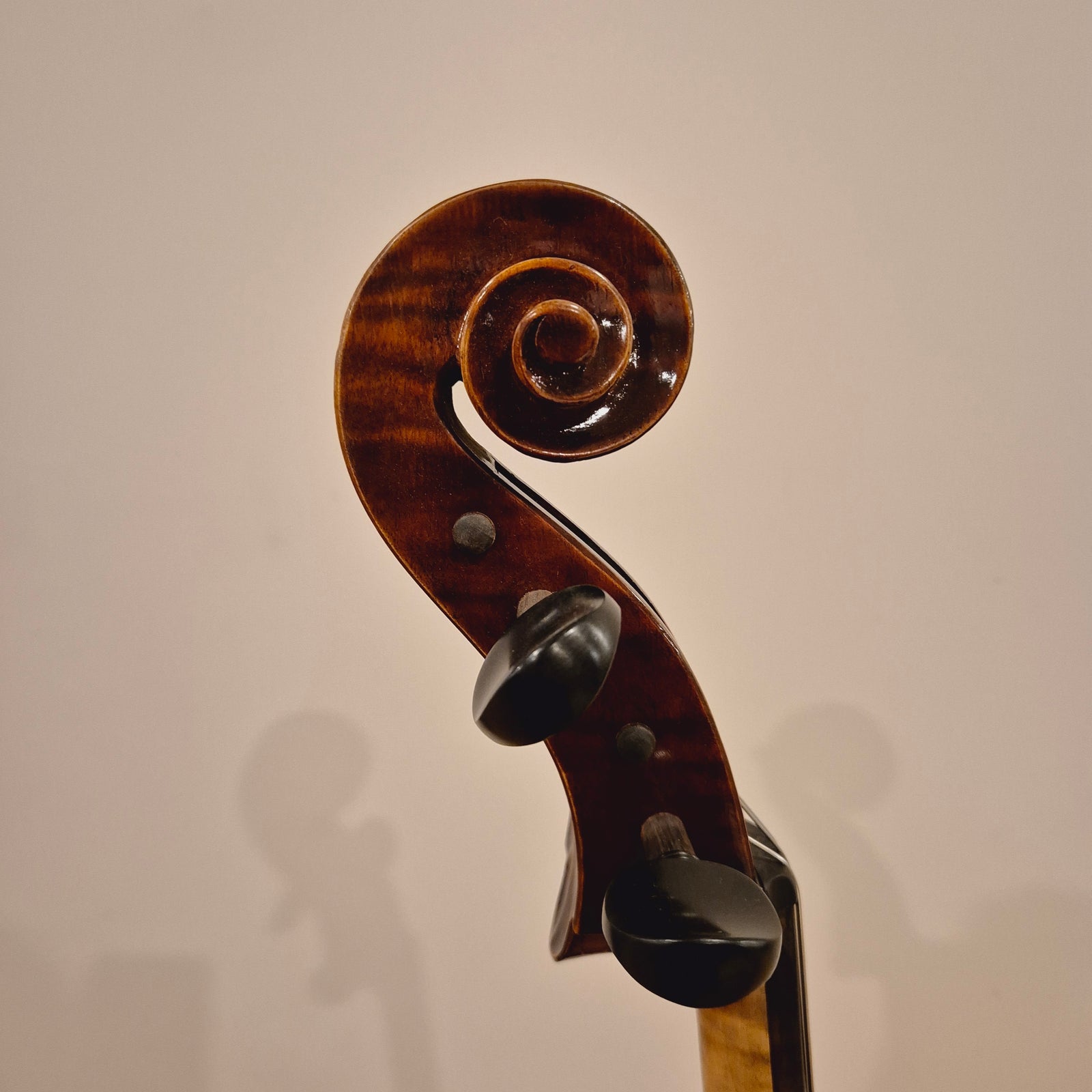 SS02 1/4 Cello