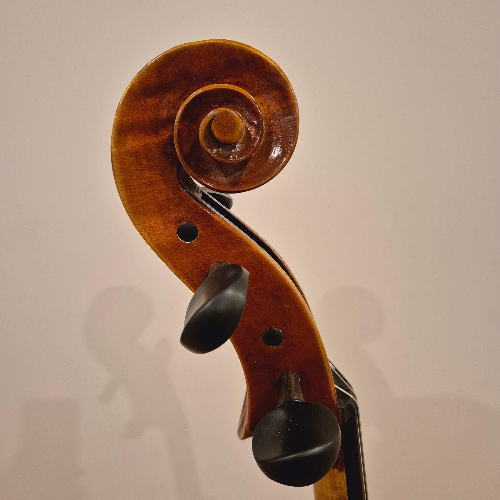 SS04 4/4 Cello