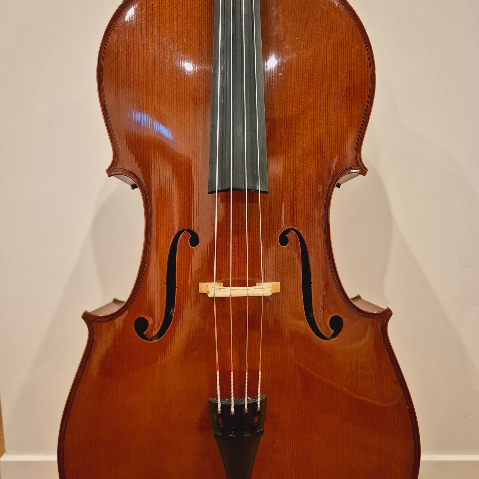 SS05 4/4 Cello