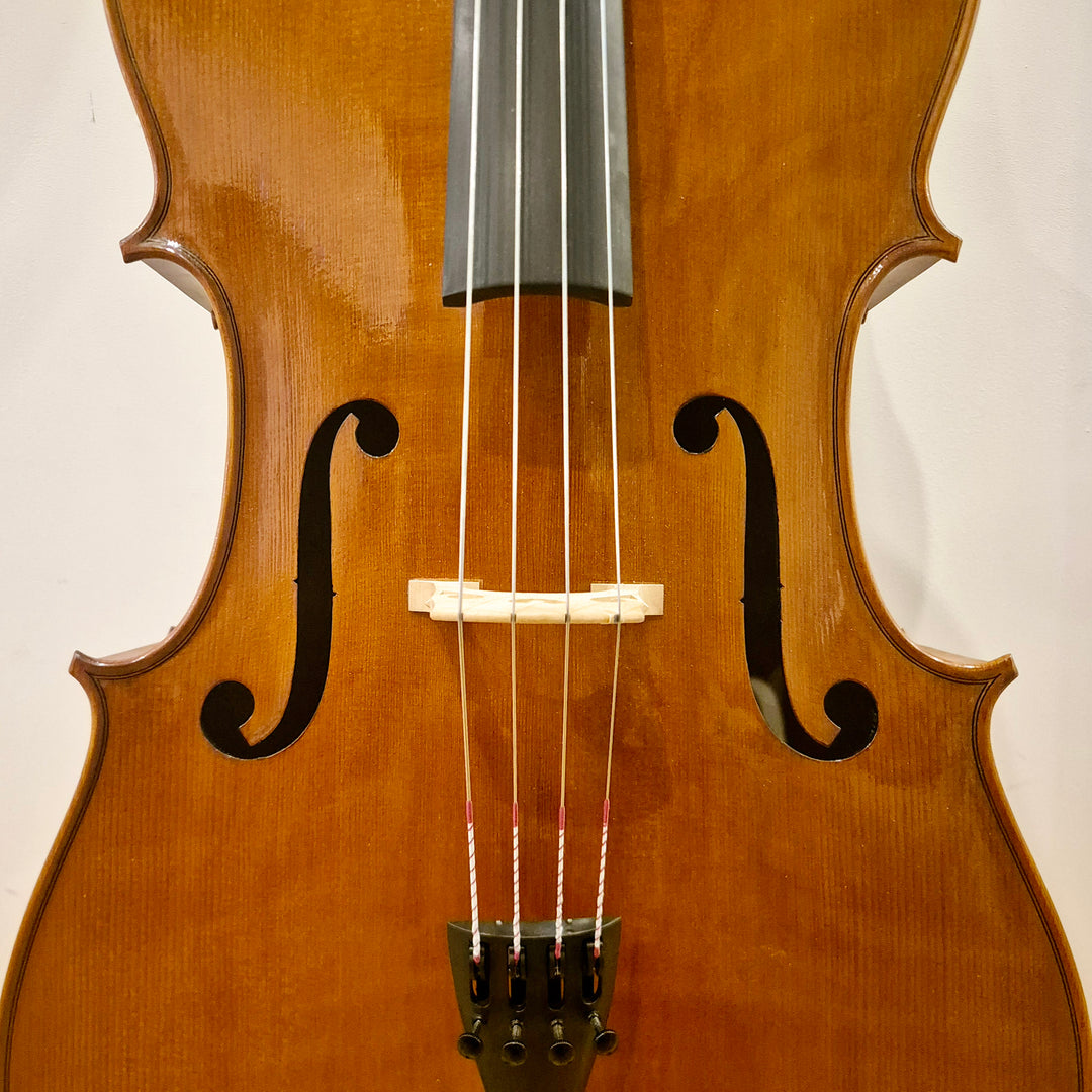 Symphonic Stringed Instruments Symphonia Music - String Instruments, Education and Concerts