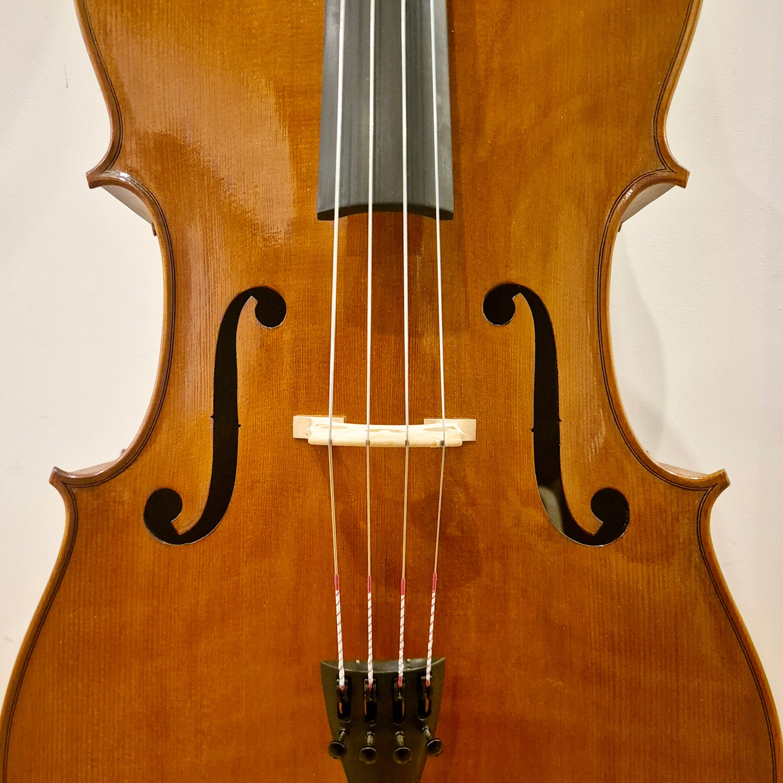 European 4/4 Cello (Goffriller Model)