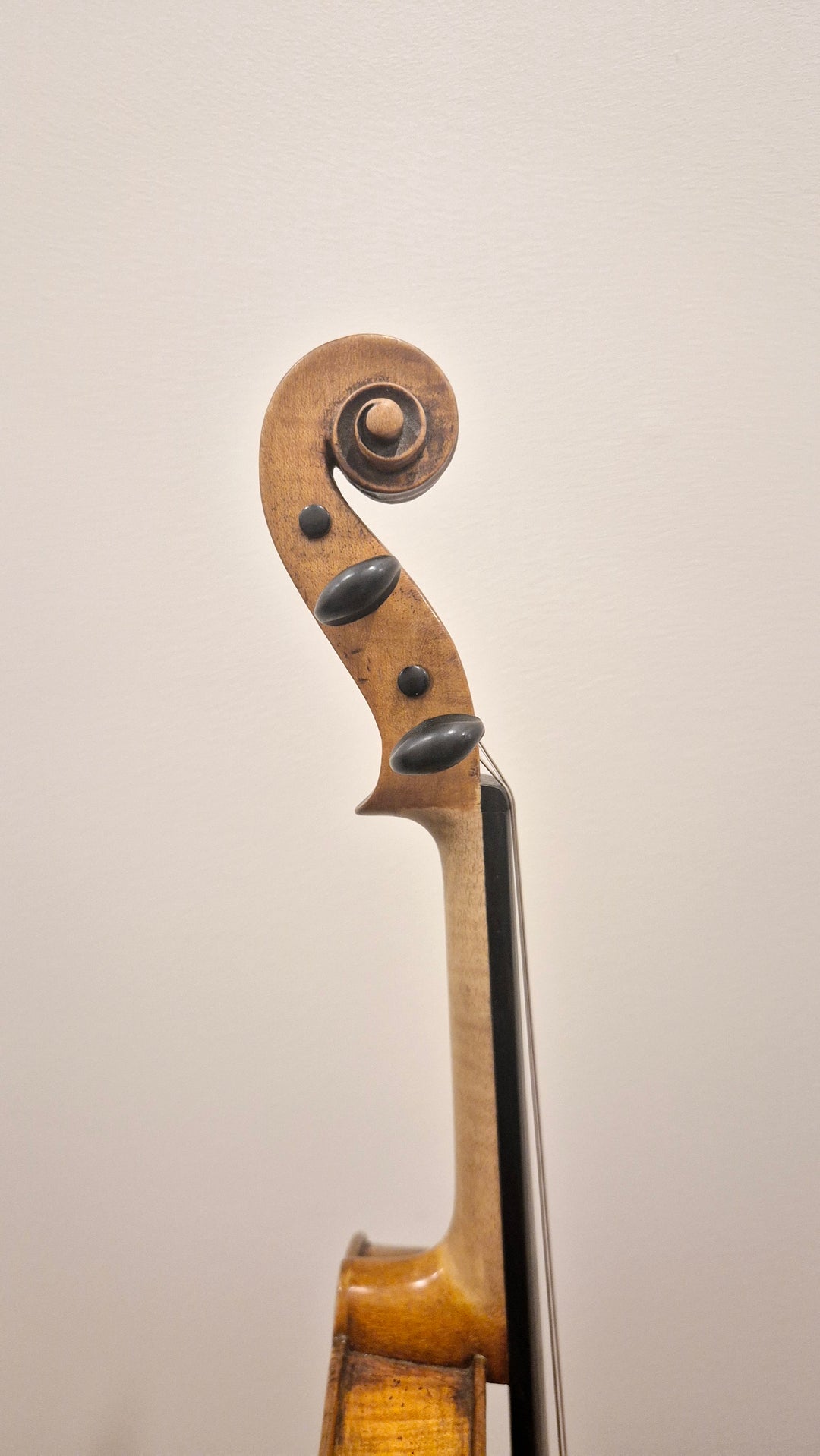 Violin Attributed to 18th Century made in France