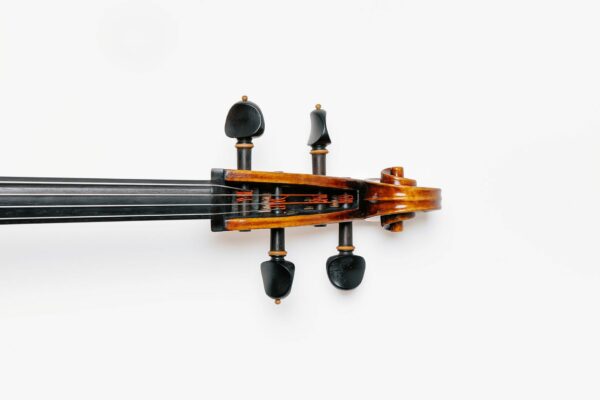 Peter Infeld Violoncello set, angle 5