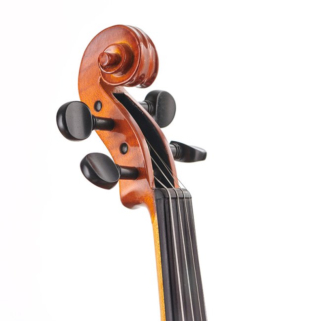 Stentor Conservatoire Violin Outfit — Conservatoire violin scroll and tuning pegs detail