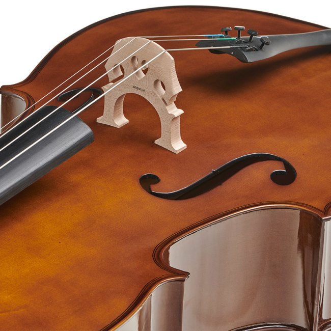 Stentor Student II Cello Outfit — Cello front bridge, f-hole and tailpiece detail