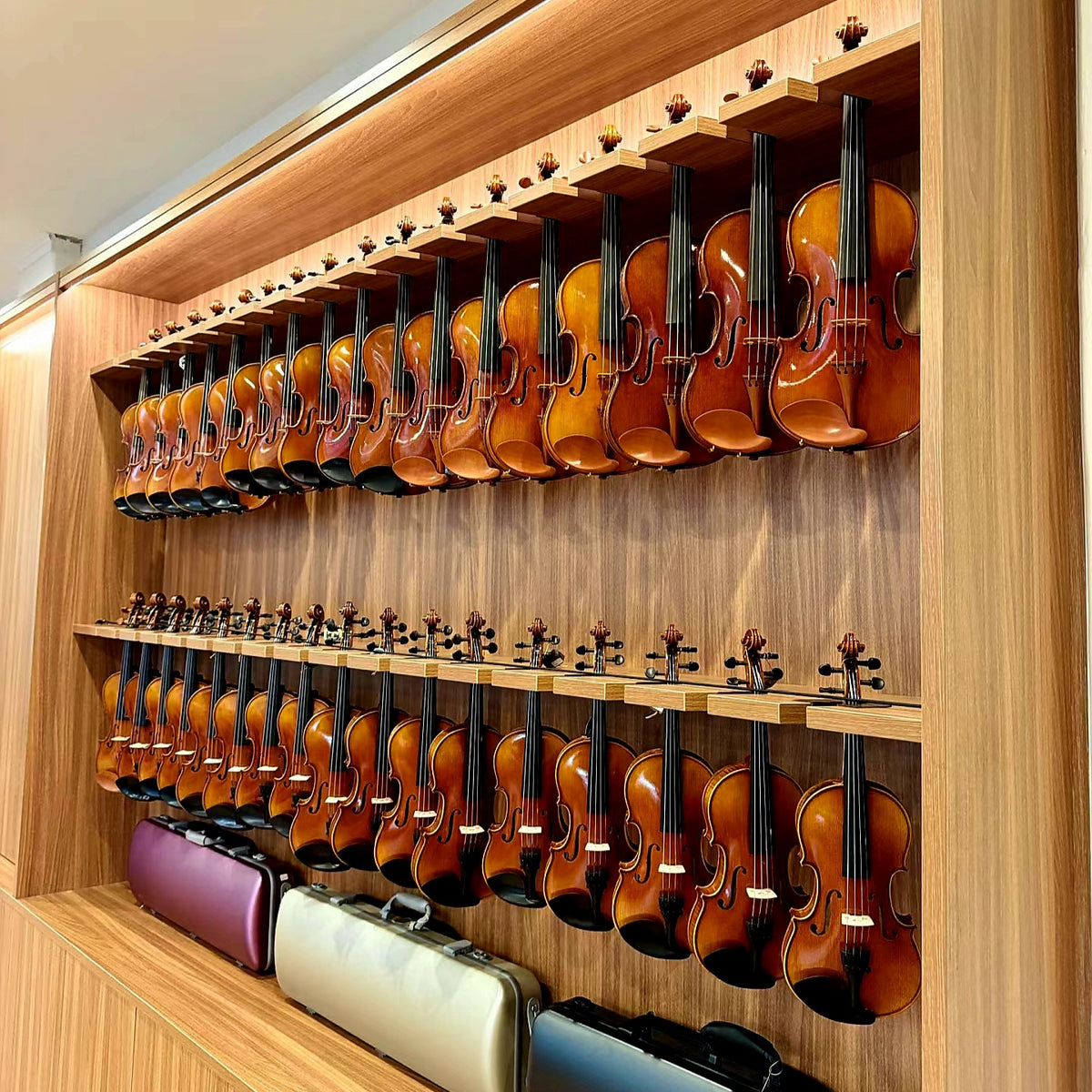 Alpha String Music Instruments Symphonia Music - String Instruments, Education and Concerts