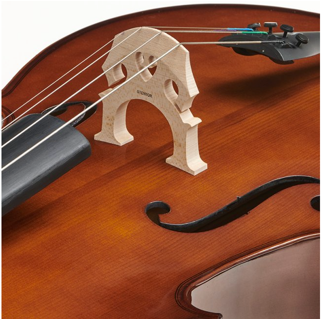 Stentor Student I Cello Outfit