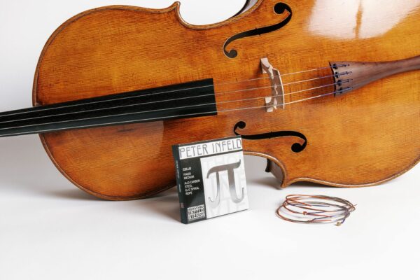 Peter Infeld Violoncello set, angle 4
