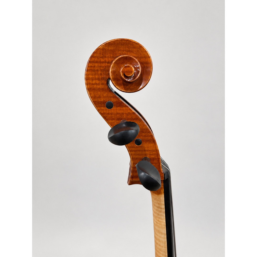 Side detail of the scroll and pegbox of the 2025 European Stradivari-copy cello.