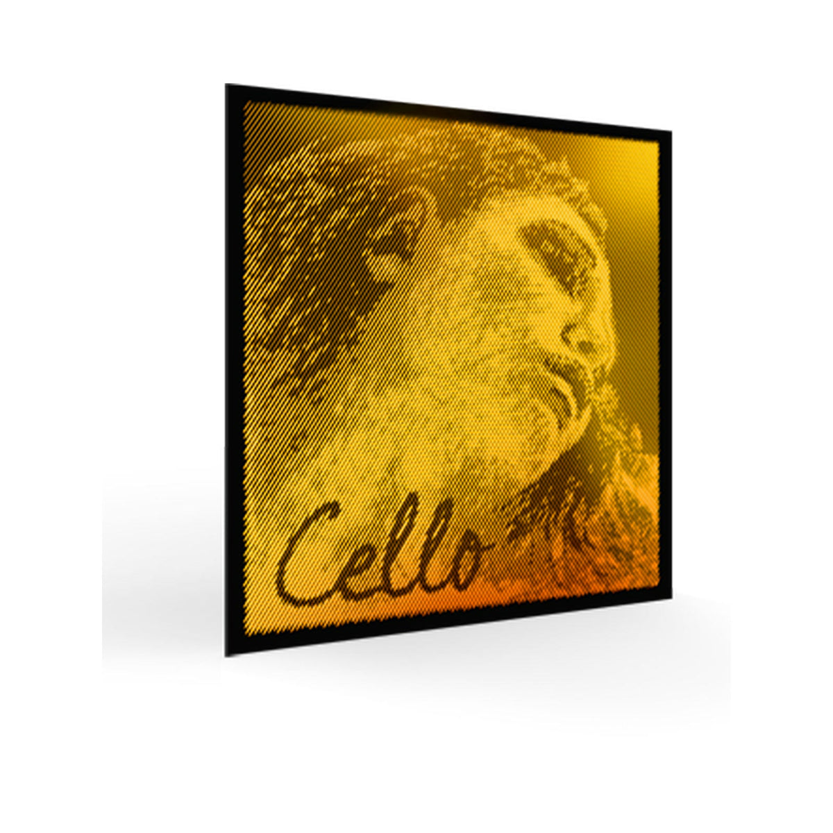 Pirastro Evah Gold Cello Strings – Symphonia Strings