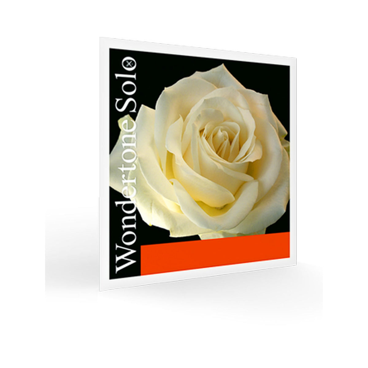 Pirastro Wondertone Solo Violin Strings – Symphonia Strings