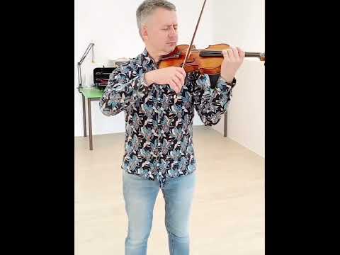 Pirastro Evah Pirazzi NEO Violin Strings